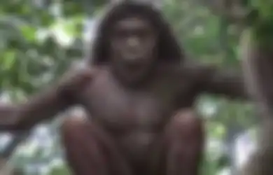 Selama 200.000 Tahun Jadi Misteri, Konon Benda yang Ditemukan di Indonesia Ini Dibuat oleh Spesies Manusia Legendaris yang Mirip Kurcaci Ini, Siapa Mereka?