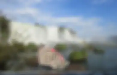 Mulai dari Monyet Terkecil di Dunia Sampai Jamur Berbentuk Net Voli, Ini Dia Makhluk Hidup Eksotis yang Ditemukan Pasangan ini Setelah Mengasingkan Diri di Belantara Amazon
