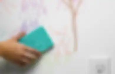 Ternyata Membawa Kegunaan, Terungkap Alasan Tak Perlu Mengusir Cicak di Rumah, Ini Kata Ahli