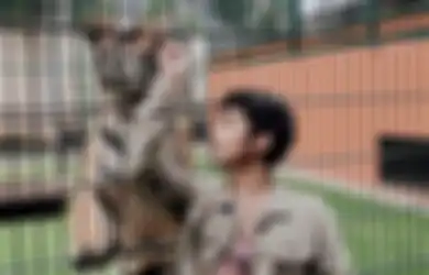 Sempat Dikomplain Keluarga, Kini Alshad Ahmad Pelihara 30 Binatang Bahkan Pernah Hidup Bersama Harimau Selama 3 Bulan