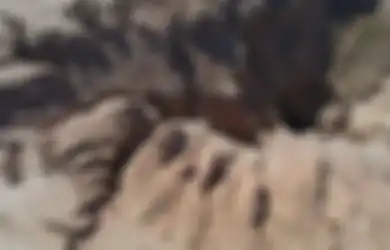 Geger KTP WNI Tertangkap Kamera di Markas ISIS Yaman, Inilah Fakta Alamat Rumahnya di Mojokerto