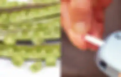Manfaat Biji Kelor untuk Kesehatan, Termasuk Kontrol Kadar Gula Darah