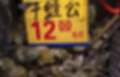 Terlihat Kodok Hidup Segar Dijual di Pasar Hewan Liar di China yang Dapat Membuka Kekhawatiran COVID-19: Pedagang Bingung 'Hewan Liar' Itu yang Bagaimana?