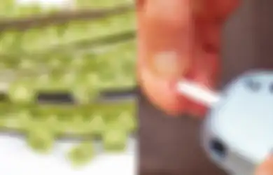 Manfaat Biji Kelor untuk Diabetes, Karena Kandungan Ini di Dalamnya