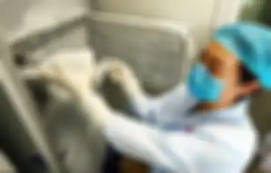 Ngeri Bukan Main, Ternyata Begini Penampakan Virus SARS-CoV-2 Saat Serang Paru-paru Penderita, Masih Tak Mau Pakai Masker?
