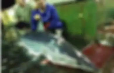 Buntut Panjang Kematian ABK Indonesia di Kapal China: Kerja 21 Jam Setiap Hari, Minum Air Laut dan Terkuak Illegal Fishing yang Dilakukan Pelaut China, Simak Selengkapnya