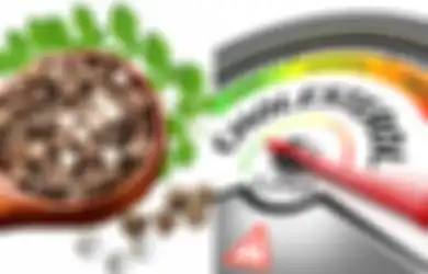 Manfaat Biji Kelor Kering untuk Kesehatan, Termasuk Turunkan Kolesterol