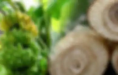 Sering Dipandang Sebelah Mata, Siapa Sangka Batang Pohon Pisang Jika Dikonsumsi Bisa Dijadikan Obat Berkhasiat, Mulai Diabetes hingga Batu Ginjal!