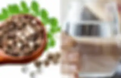 Begini Manfaat Biji Kelor dalam Penjernihan Air dan Cara Pemakaiannya