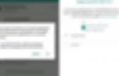 Sedang Marak Terjadi, Ini Pertanda WhatsApp Sedang Dibajak, Muncul Notifikasi Ini di Ponsel, Simak Cara Mengatasinya