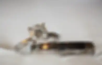 Jarinya Membiru dan Mati Rasa Akibat Cincin Berlian Seharga Rp 12,7 Miliar, Ternyata Wanita Ini Alami Kejadian Tragis yang Bikin Miris