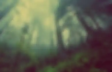 Belasan Tahun Tinggal di Tengah Hutan, Pria Paruh Baya Ini Ungkap Alasan Dirinya Jauhi Perkotaan