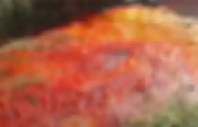 Gegerkan Warga, Sungai di Israel Mendadak Berubah Menjadi Merah Darah Seperti Wabah Darah di Mesir, Terungkap Ternyata dari Sinilah Darah Tersebut Mengalir