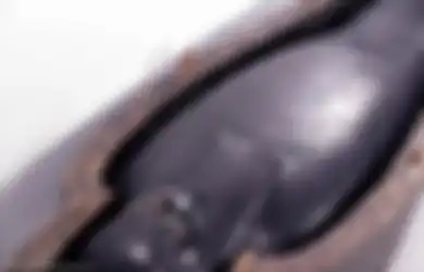 Warna Hitam Melambangkan Kelahiran Kembali, Mumi-mumi Elit Dibungkus dengan Cairan Hitam Ini, Terungkap Misteri Pembuatannya