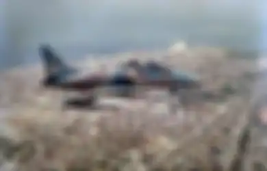 Keberadaan Negaranya 'Diharamkan' Masyarakat Seantero Nusantara, Diam-diam Israel Jual 4 Alutsista Ini ke Indonesia, dari Pesawat Tempur Hingga Drone