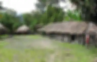 Tidak Hanya Rumah Honai, Inilah Berbagai Rumah Adat Papua dengan Fungsi Berbeda-beda
