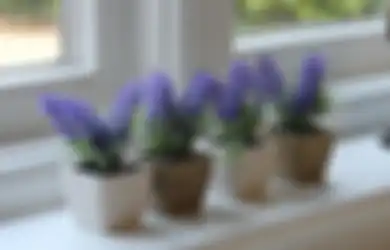 Letakan Lavender dan 3 Bunga Ini di Rumah Untuk Usir Nyamuk! 