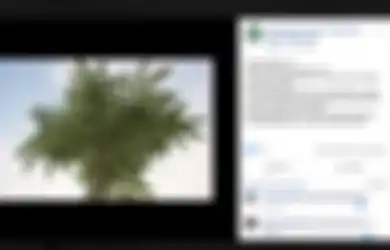 Informasi Viral soal Daun Sungkai untuk Obati Covid-19, Begini Tanggapan IDI Atas Hal Tersebut...