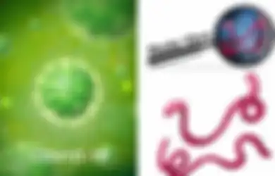 Jomplang, Meski Sama-sama Infeksi 3000 Orang di Kongo, Data Ini Ungkap Betapa Virus Ebola Jauh Lebih Mematikan Dibanding Virus Corona