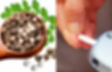 Ini 4 Alasan Diabetesi Menggunakan Manfaat Biji Kelor untuk Diabetes 
