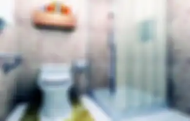 Toilet Bau Saat Musim Hujan? Inilah Cara Cerdas Menghilangkan!
