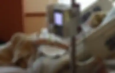 Simpan Harta Rp 9 Miliar, Komedian Ini Tergolek Lemas Selama 10 Hari Gegara Penyakit Mengerikan Ini