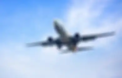 Human Error Tingkat Parah, Pilot Ini Justru Terbangkan Pesawat Sambil Asyik Membahas Covid-19, Nyawa 97 Orang Jadi Tumbalnya