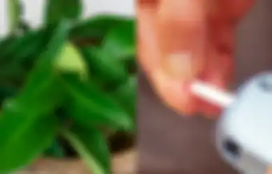 Daun Salam untuk Obat Apa, Salah Satunya Bantu Obati Diabetes