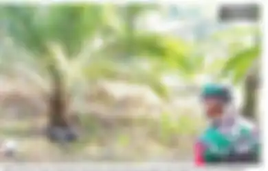 Mati Tragis di Bawah Pohon Sawit, Dukun Ini Ditemukan dalam Kondisi Badan Membengkak Usai Hilang Berhari-hari, Makhluk Halus Diduga Jadi Dalang 