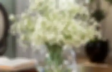 Jangan Asal! Bukannya Romantis, 5 Bunga Ini Justru Maknanya Suram!