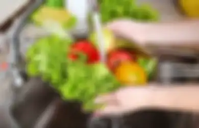 Bisa Bikin Nyawa Seisi Rumah Melayang, Jangan Lagi Cuci Sayuran Sebelum Disimpan di Kulkas