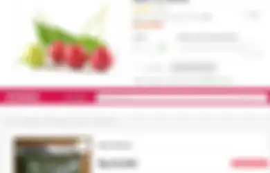 Dihargai Nyaris Setengah Juta Rupiah Sekilo, Ternyata Buah Kersen Memiliki Manfaat Luar Biasa bagi Tubuh, Termasuk Lindungi Jantung