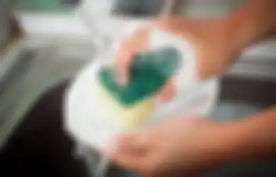 Kelihatan Bersih, Hati-hati Ini Fakta Kuman yang Tersimpan di Spons Cuci Piring, Ganti Seminggu Sekali!