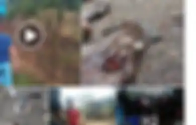 Berhari-hari Diburu, Makhluk Misterius yang Bikin Hewan Ternak Bebek hingga Babi di Tapanuli Mati Kehabisan Darah Belum Juga Ketemu, Diduga Makhluk Mistis Ini Pelakunya