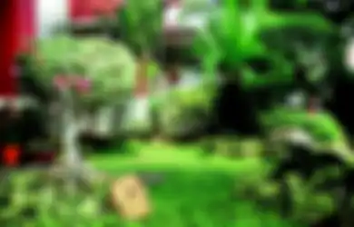 Mengenal Lima Gaya Taman yang Ada di Dunia dan Karakter Tiap Jenisnya