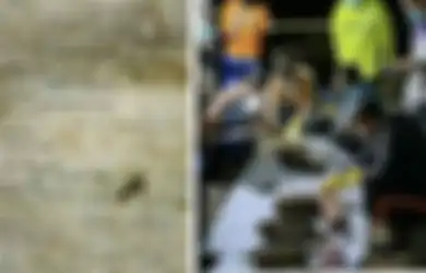 Merinding, Dikira Mayat Bayi, Warga Ini Syok Bukan Main Temukan 9 Pocong Mini Berisi Bangkai Ayam dan Alat Santet, Terungkap Sosok 'Yulia Fera Ayu Lestari' yang Diduga Jadi Korbannya