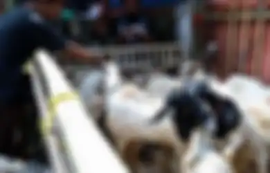 Umat Muslim Segera Sambut Hari Raya Idul Adha 2021, Berikut Daftar Harga Hewan Kurban Kategori Standar hingga Premium 