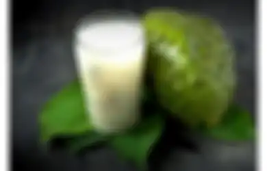 Doyan Konsumsi Buah Sirsak Berikan 5 Manfaat Bagi Kesehatan. MANTAP!