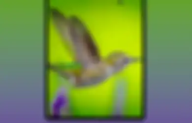 Leakers Twitter Bocorkan Render Samsung Galaxy Fold 2, Layarnya Luas!