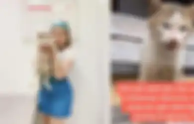 Viral Kucing yang Diam Seperti Patung itu Dibawa Awkarin ke Klinik Hewan dan Diinfus, Apa Hasil Diagnosa Dokter? Ini Dia!