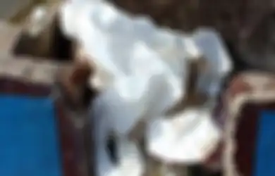 Ratio Kematian Akibat Covid-19 Tertinggi, Surabaya Kini Juga Diresahkan dengan Menumpuknya Limbah Medis di Pemakaman, Kepala TPU: Warga di Sini Kewalahan