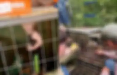 Teganya Pasutri Ini Besarkan Anak seperti Peliharaan, Tempatkan Buah Hatinya dalam Kandang di Samping 8 Ekor Ular Lapar dan Ratusan Binatang Liar