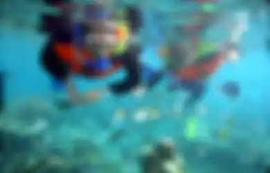 Tahan Dulu Kalo Mau Nyebur di Kepulauan Seribu, Ada Aturan Diving Saat New Normal