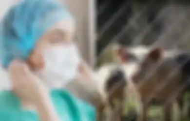 Covid-19 Belum Juga Usai, Peneliti Kembali Temukan Virus Baru Mirip Flu Babi dan Berpotensi Jadi Pandemi, Faktanya Bikin Melongo