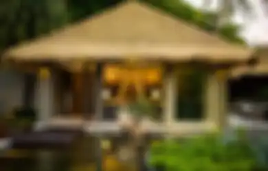 Jatuh Cinta Ijuk dan Rumbia tapi Rawan Bocor? Yuk Kenali Imitasinya