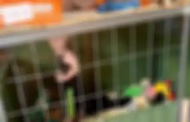 Miris, Bocah Ini Dikurung Orangtuanya ke dalam Kandang Bareng Anjing