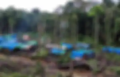 Bikin Kaget! Warga di Daerah Ini Biasa Beli Mi Instan dengan Emas, Ternyata Begini Cerita Sebenarnya 