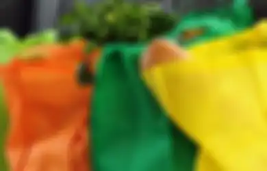 Jakarta Tanpa Kantong Plastik, Ini Tips Saat Lupa Bawa Kantong Belanja Sendiri!