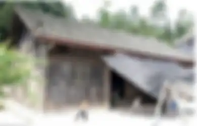 Meski Hanya Rumah Kayu yang Terlihat Reyot, Rumah Ini Ditawar Hingga Rp20 Miliar, Tak Disangka Inilah yang Membuat Harganya Bisa Begitu Fantastis