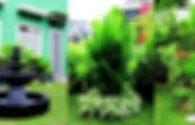 Trik Mendesain Taman yang Luas di Hoek, Beri Kejutan Bertema di Beberapa Area